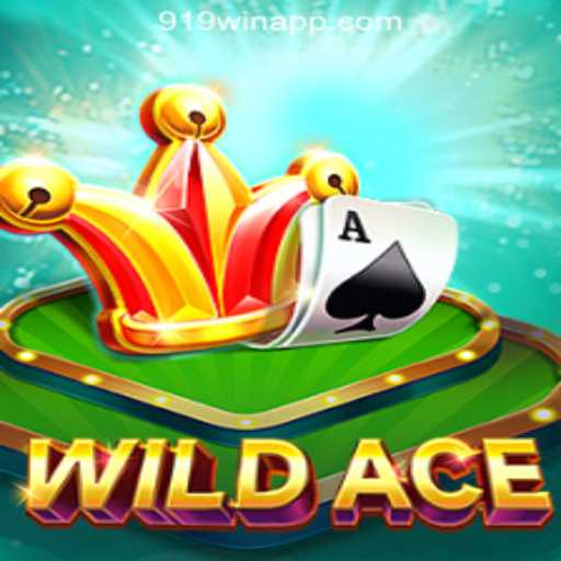 Exploring the Thrills of WildAce: The Premier Slot Game Experience